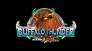 Buffalo Thunder review