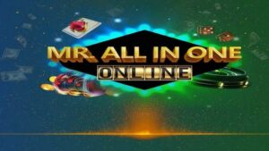 Mr All In One 777 review