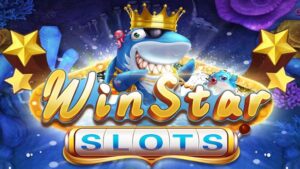 Winstar review